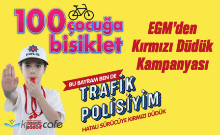 trafik-denetimleri-(3).png